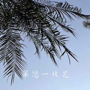 单恋一枝花（你应该大声说拜拜）