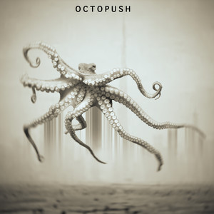 octopush图片