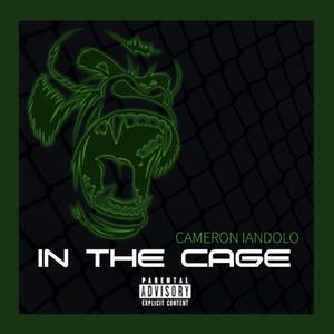 inthecageexplicit