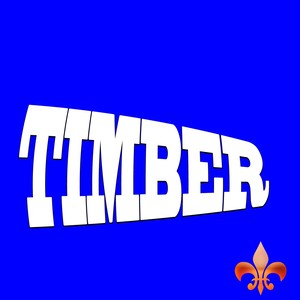 timber歌手图片