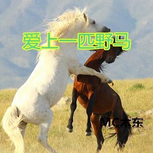 愛上一匹野馬