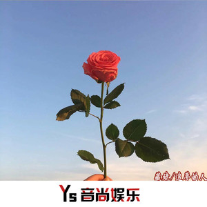 走著花就開了藏斌專輯:追夢的人語種:純音樂流派:pop唱片公司:音尚