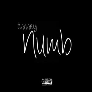 numb (explicit)