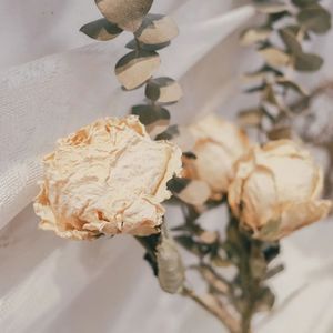治愈emo | 柔和静心的轻音乐