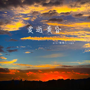 爱逝黄昏