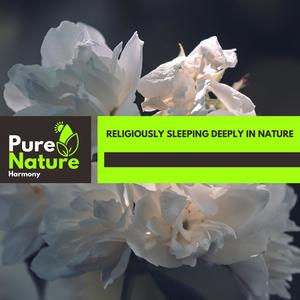 happy and kind nature music專輯:religiously sleeping deeply in