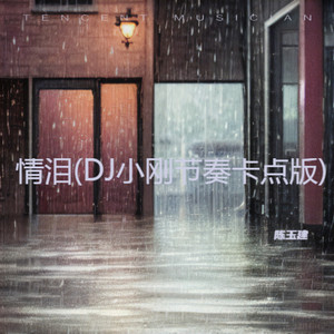 情泪(DJ小刚节奏卡点版)