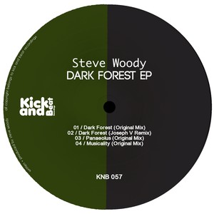 steve woody專輯:dark forest語種:英語流派:dance唱片公司:kick and