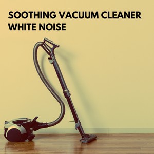 Vacuum white noise store baby