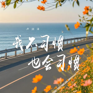 我不习惯也会习惯
