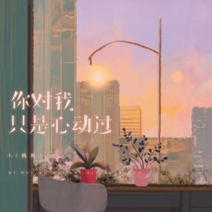 你对我只是心动过