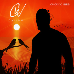 cuckoobird