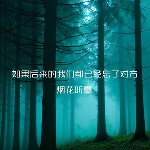 如果后来的我们都已经忘了对方