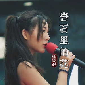 岩石里的花 徐俊雅 qq音乐-千万正版音乐海量无损曲库新歌热歌