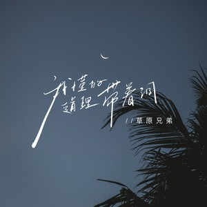 我懂的道理带着泪（live版）