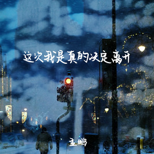 这次我是真的决定离开