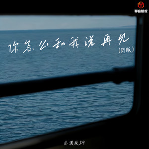 你怎么和我说再见（DJ豪大大版）