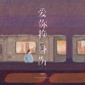 爱你换一身伤