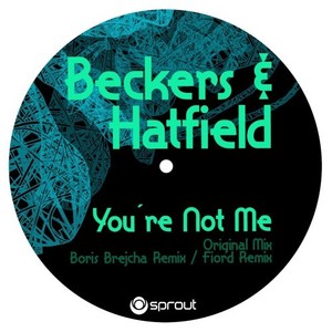 youre not me (boris brejcha remix)