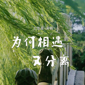 为何相遇又分离