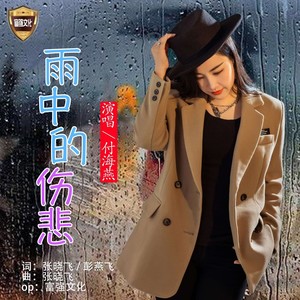 雨中的傷悲伴奏