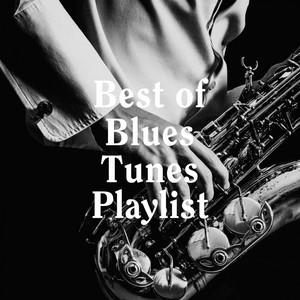 Blues/Buddy Blues/Blues Music_Best of Blues Tunes Playlist专辑_QQ 