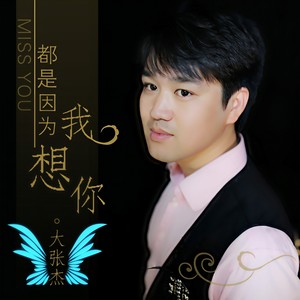 歌詞複製都是因為我想你 - 大張傑詞:馬雙雲曲:路勇編曲 曲澎濤你沉默