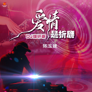 爱情是折磨 (Dj翊轩版)