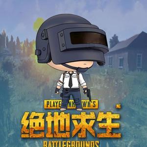 绝地求生之爽就一个字