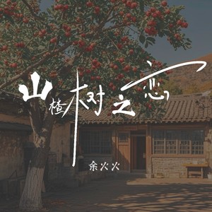 山楂树之恋