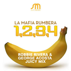 1,2,3,4 (robbie rivera juicy mix)