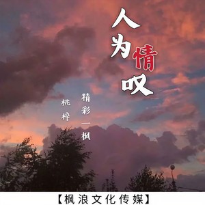 韻靈清音文化發行時間:2020-08-28播放智能曲譜更多歌詞複製人為情嘆