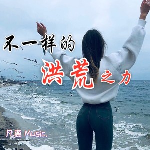 专辑:不一样的洪荒之力 语种 纯音乐 流派 pop 唱片公司 小聪