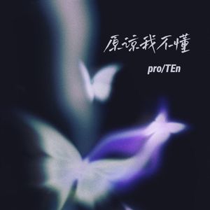 原谅我不懂