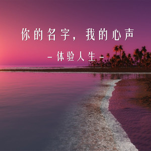 你的名字我的心声