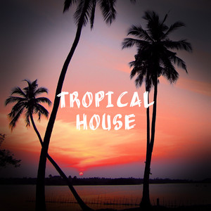 tropical house代表作图片