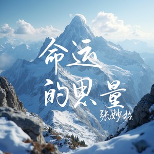 命运的思量