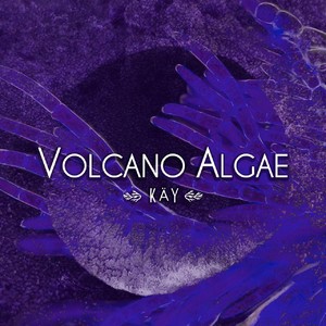 專輯:volcano algae 語種: 其他 流派: new age 唱片公司: halaken