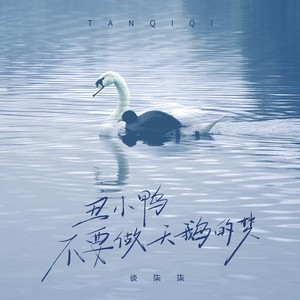 丑小鸭不要做白天鹅的梦