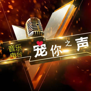 音乐日记
