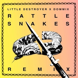 rattlesnakesdommixremix