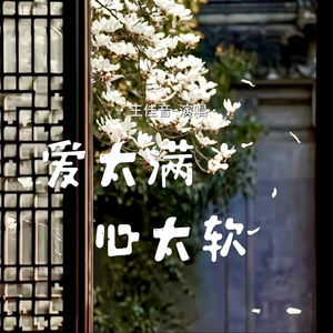 爱太满心太软