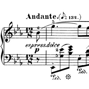 nocturne no.2 op.9-2 (trance version)