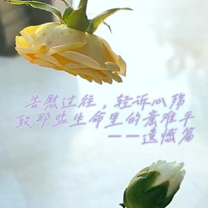 听不到你说 