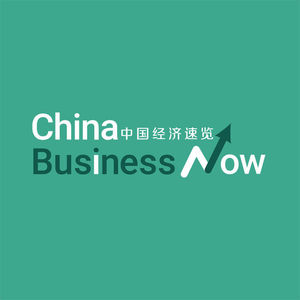 中国经济速览（China Business Now）