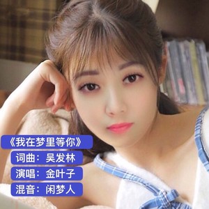 我在梦里等你