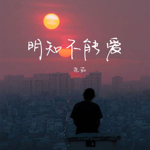 明知不能爱
