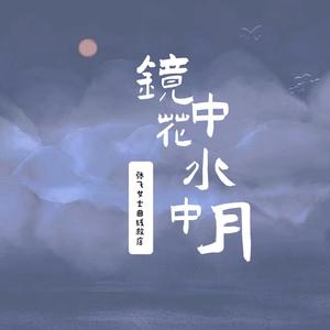 镜中花水中月