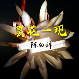 昙花一现文字图片