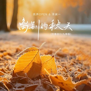 离别的秋天(国粤语DJ九零版)